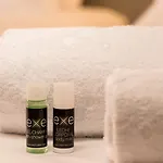 Hotel Exe